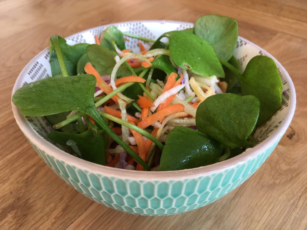 Salade folle de pourpier et légumes râpés