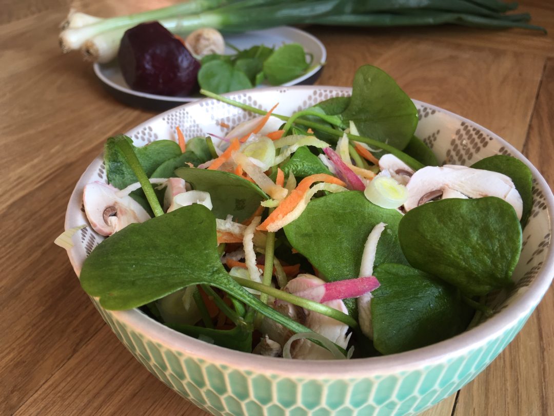 Salade folle de pourpier et légumes variés