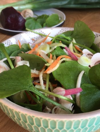 Salade folle de pourpier et légumes variés