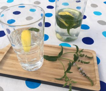 Boisson rafraichissante citron menthe gingembre
