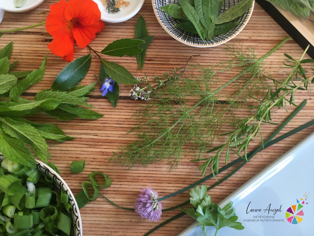 herbes aromatiques de printemps