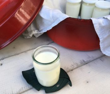 yaourt en marmite norvégienne