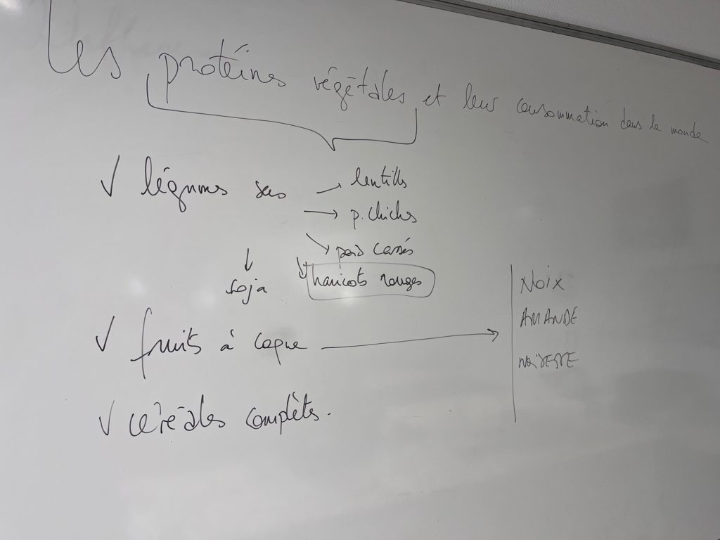 Atelier participatif sur les protéines végétales en collège
