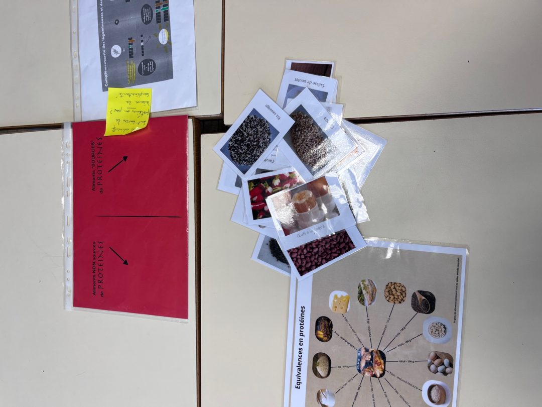 Atelier participatif sur les protéines végétales en collège