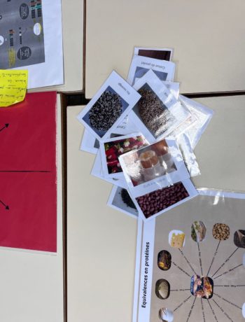 Atelier participatif sur les protéines végétales en collège